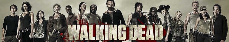 The Walking Dead S10E15 The Tower 1080p AMZN WEB DL DD+5 1 H 264