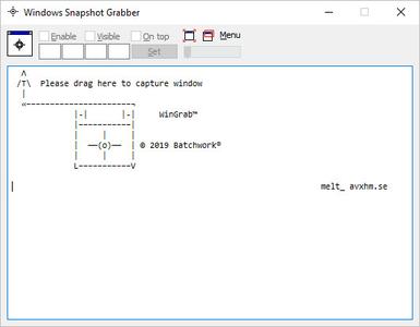 Windows Snapshot Grabber  2020.12.406.2754