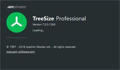 TreeSize Professional 7.1.5.1471 Portable