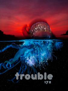 Trouble   April May 2020