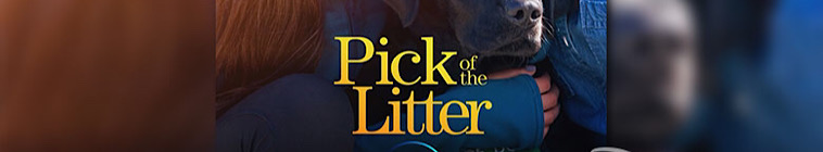Pick Of The Litter S01E01 1080p WEB h264 ASCENDANCE