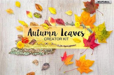 CreativeMarket - Autumn Leaves - Creator Kit