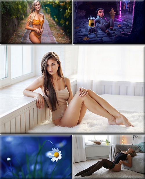 LIFEstyle News MiXture Images. Wallpapers Part (1644)