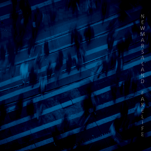 Newmarsaland - Fakelife (Single) (2020)