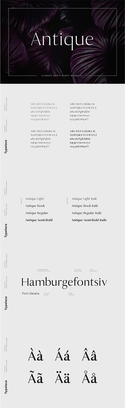 Antique - Luxury Serif Typeface 3341401