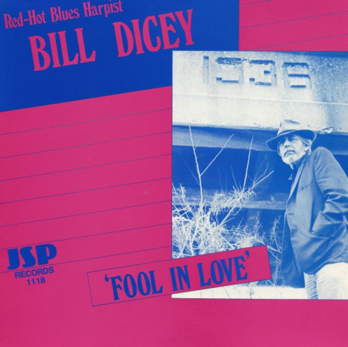Bill Dicey - 1987 - Fool In Love (Vinyl-Rip) [lossless]
