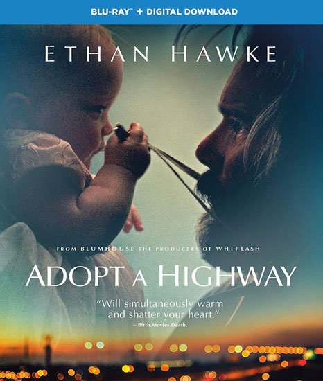    / Adopt a Highway (2019) HDRip | BDRip 720p