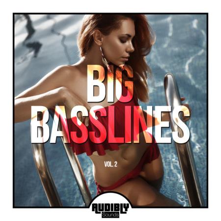 Big Basslines Vol 2 (2020)