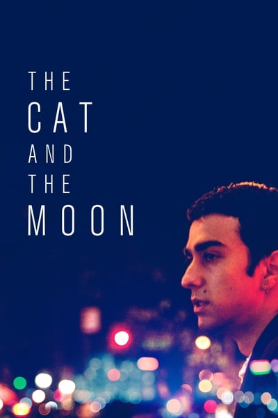 The Cat And The Moon 2019 720p BRRip XviD AC3-XVID
