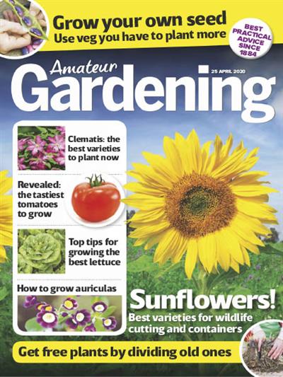 Amateur Gardening   25 April 2020