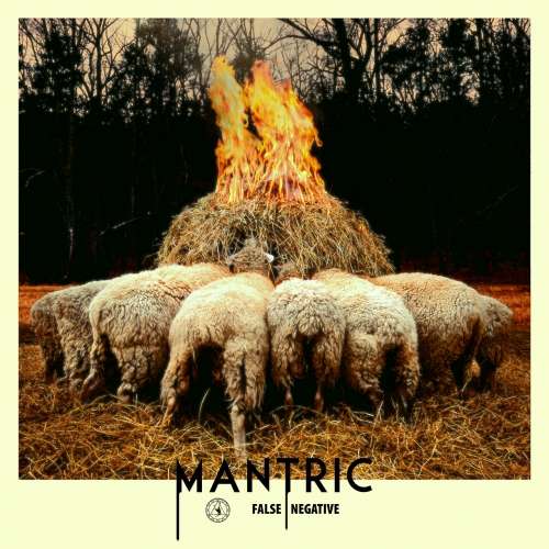 Mantric - False Negative (2020)