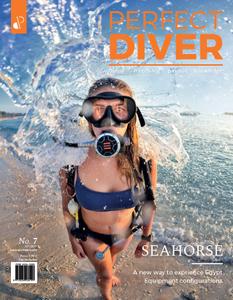 Perfect Diver - January-February 2020