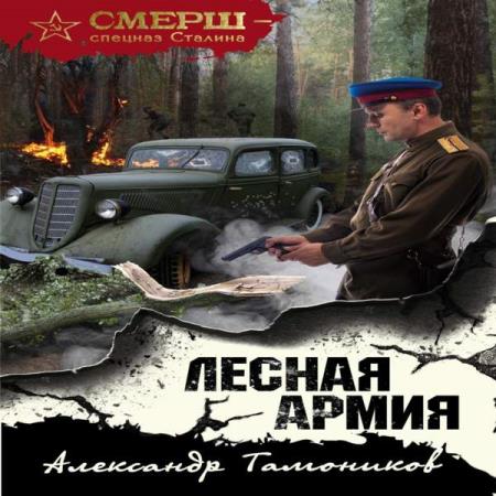Александр Тамоников. Лесная армия (Аудиокнига)