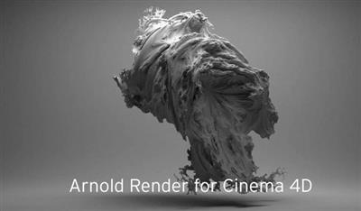 Solid Angle Cinema 4D To Arnold 3.0.3 for Cinema 4D R19 R21 Win/Mac
