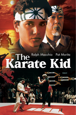 Karate Kid 1984 GERMAN DL 1080p BLURAY x264 – HDViSiON