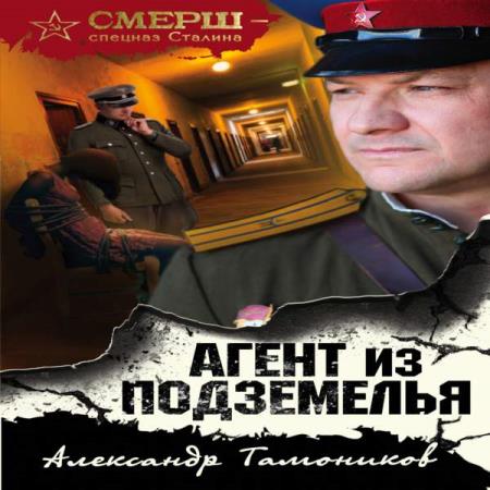Александр Тамоников. Агент из подземелья (Аудиокнига)