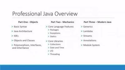 Skillshare вЂ" Professional Java