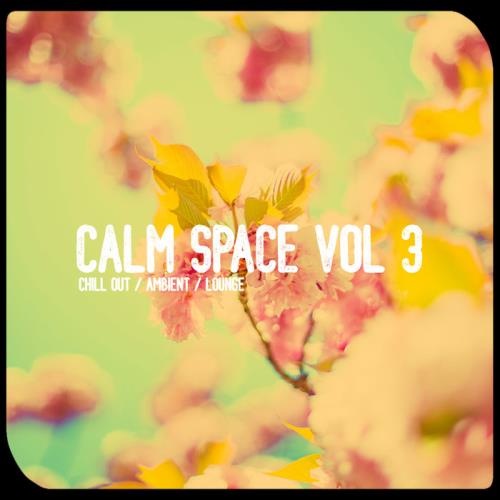 Calm Space, Vol. 3 (2020)