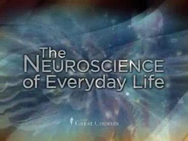 TTC Video - Neuroscience of Everyday  Life 0828eb94c4c0373ff787b9f973eb9185