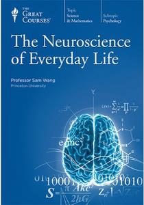 TTC Video - Neuroscience of Everyday  Life Dd690fb56d9883e773d888175c6a318d