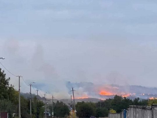 В Донецкой области вспыхнул масштабный лесной пожар(видео)