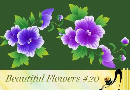 Beautiful Flowers #20 (PNG)