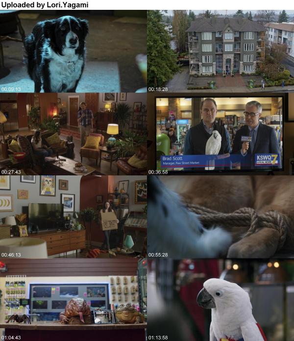 Cats And Dogs 3 Paws Unite 2020 1080p BluRay DTS-HD x264-CMRG