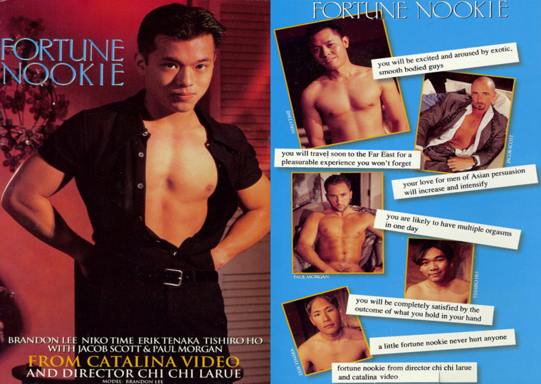 Fortune Nookie /   (Chi Chi LaRue, Catalina Video) [1998 ., Feature, Oral Sex, Anal Sex, Interracial Sex, Rimming, Masturbation, Muscle Men, Asian, Smooth, Hairy, Piercing, Condoms, Cumshots, DVDRip]