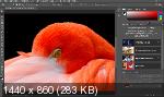 Adobe Photoshop 2020 21.0.1 by m0nkrus