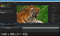 Adobe After Effects 2020 17.0.0.557 by m0nkrus