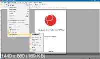 Ashampoo PDF Pro 2.0.5 Final
