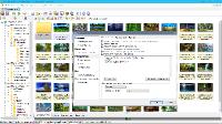 XnView Complete 2.49.2 RePack + Portable
