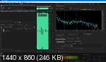 Adobe Audition 2020 13.0.1.35 Portable by punsh