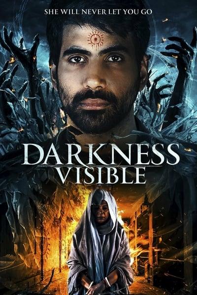 Darkness Visible 2019 1080p WEBRip x264-RARBG