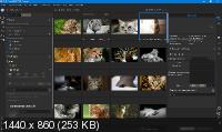 ON1 Photo RAW 2020 14.0.1.8289 Portable by punsh