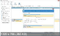 NIUBI Partition Editor Pro / Technician / Enterprise / Server 9.3.9 + Portable