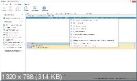 NIUBI Partition Editor Technician Edition 7.6.0 + Rus + Portable