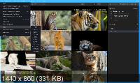 Luminar 4.1.0.5135 Portable by conservator