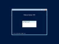 Windows Server 2019 AIO 12in1 by BananaBrain (17763.914) (x64)