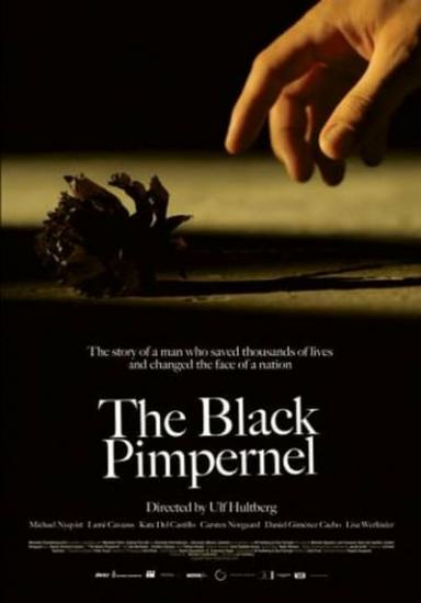 The Black Pimpernel 2007 1080p WEBRip x264-RARBG