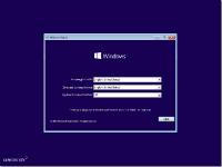 Windows 10 Pro VL 19H2 3in1 JAN 2020 by Generation2 (x64)