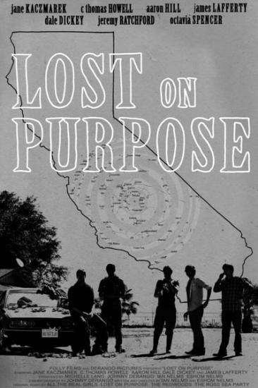 Lost On Purpose 2013 1080p WEBRip x264-RARBG