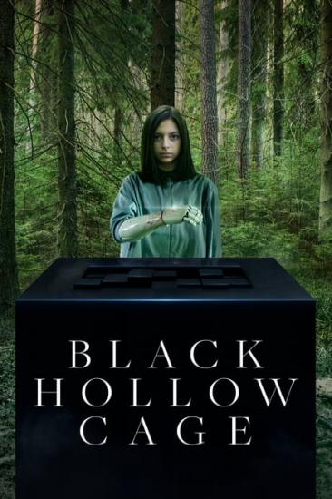 Black Hollow Cage 2017 1080p WEBRip x264-RARBG