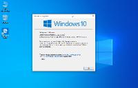 Windows 10 Enterprise 1909.18363.592 by Brux (x86-x64)