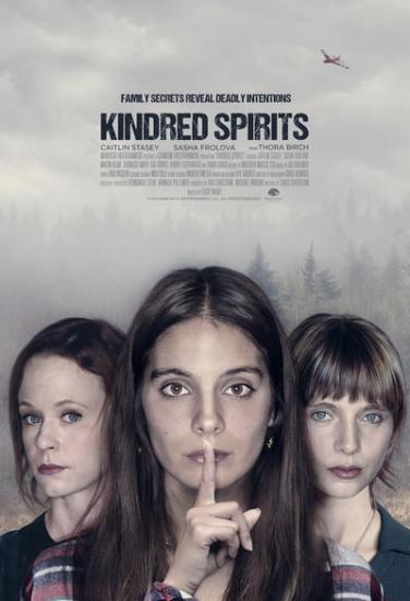 Kindred Spirits 2019 720p WEB-DL XviD AC3-FGT