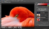Adobe Photoshop 2020 21.0.3.91 by m0nkrus