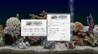 SereneScreen Marine Aquarium 3.3.6369 RePack