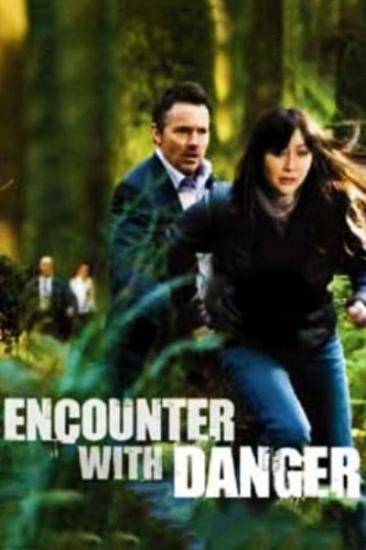 Encounter with Danger 2009 WEBRip x264-ION10