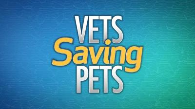 Vets Saving Pets S02E13 Long in the Tooth HDTV x264-CRiMSON[rarbg]