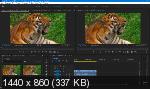 Adobe Premiere Pro 2020 14.0.2.104